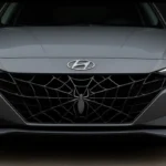 Custom Front Grille1